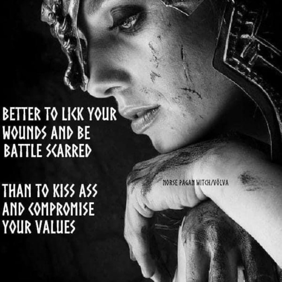 Sheer top, sooo cute! Ties above waist. Excellent Condition! - Picture 9 of 13